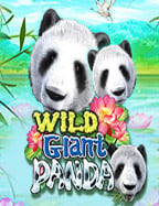 ข่าว บอล ซีเกมส์: การแข่งขันที่ทุกคนรอคอย