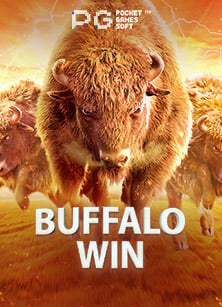 มาเล่นแคน ดี้ ป๊ อป สล็อต ง่ายๆ ได้เงินชัวร์!